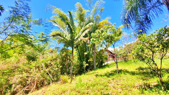 GRAMADO E COQUEIROS....