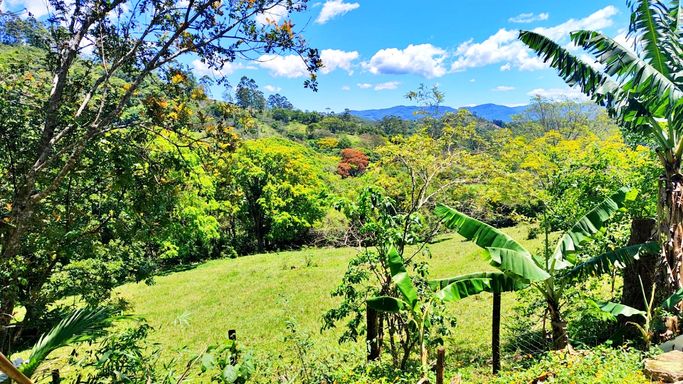 VISTA DA NAATUREZA...