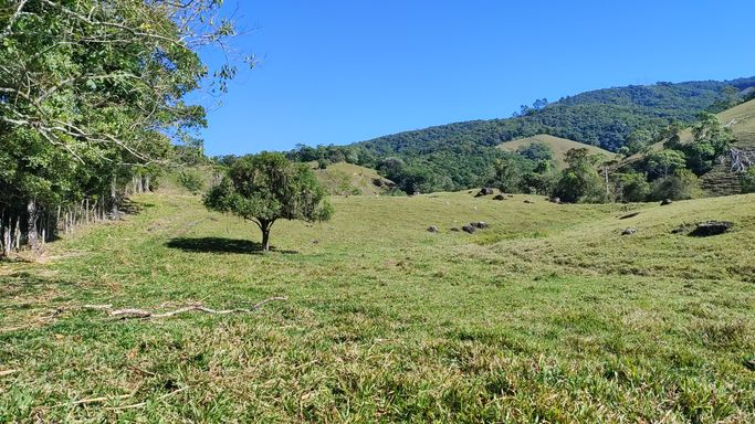 PASTTO E LARANGEIRA