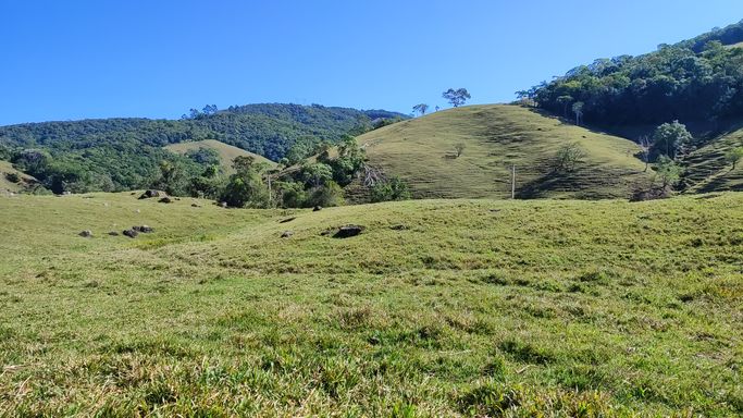 PASTAGEM E LINDA VISTA