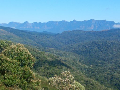 VISTA DA SERRA E NATUREZA