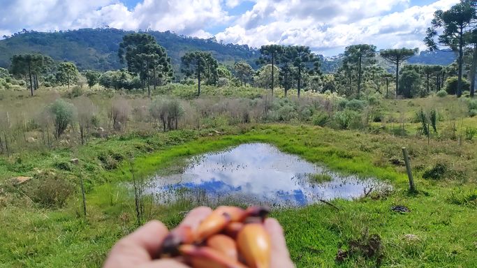 PINHAO, AÇUDE  E LINDA VISTA