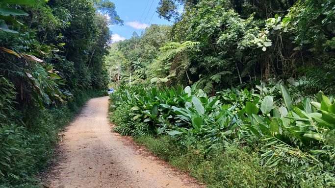 RUA E NATUREZA