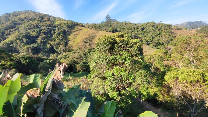 VISTA PARA NATUREZA