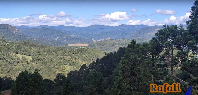 ARAUCARIAS
