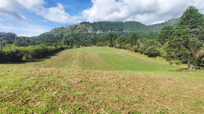 TERRENO PLANO DE PLANTIO