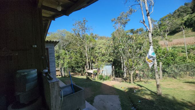 GALINHEIRO E POMAR