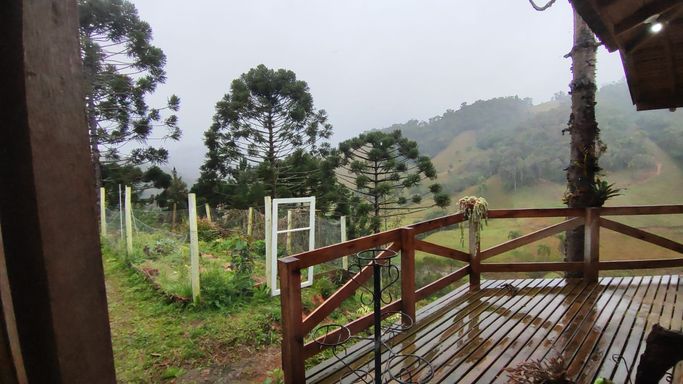 VARANDA E ARAUCARIAS