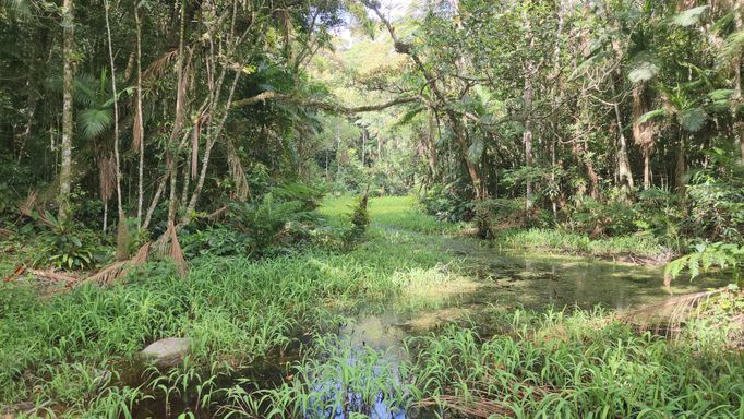 ACUDE NA EXGTREMA DO TERRENO