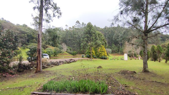 JARDIM E NATUREZA