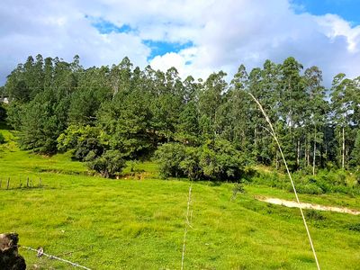 Aea plana de pastagem