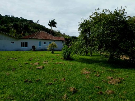 Pastagem casa e frutiferas