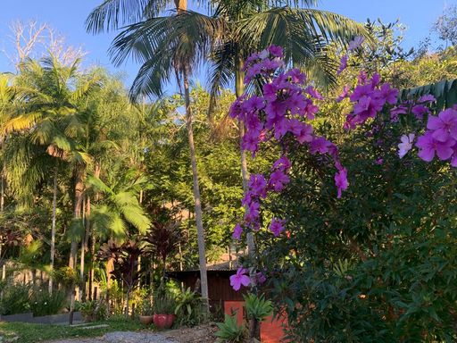 LINDAS FLORES E NATUREZA