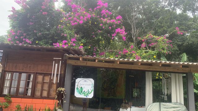 STUDIO E LINDAS FLORES