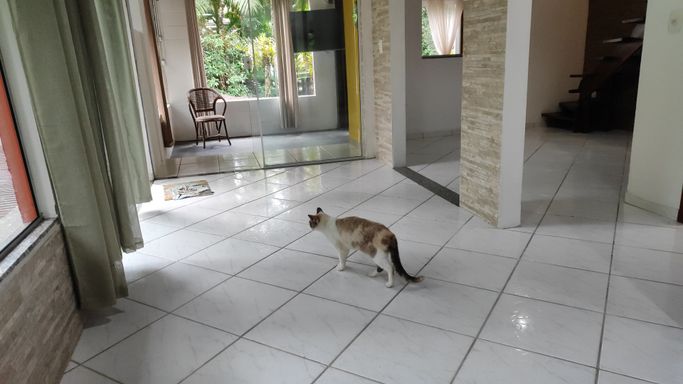 SALA E GATA LINDA DA CASA PRINCIPAL