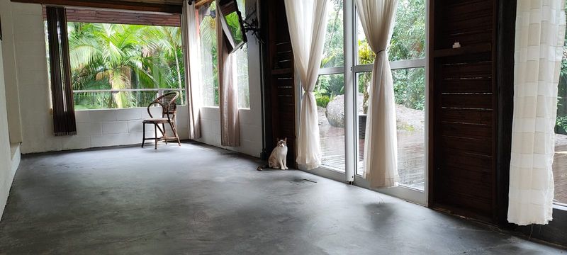 SALA COM UMA LINDA GATA