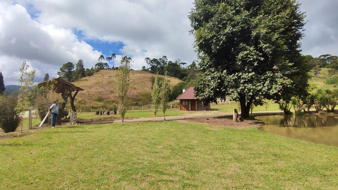 JARDIM E ARVORE