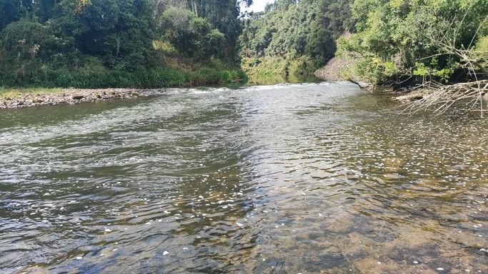 LINDO RIO