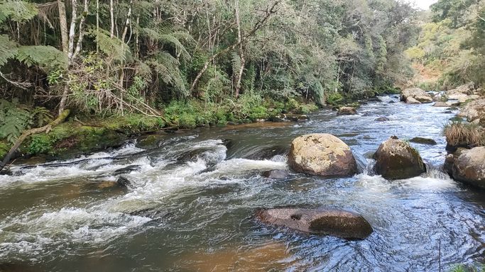 LINDO RIO