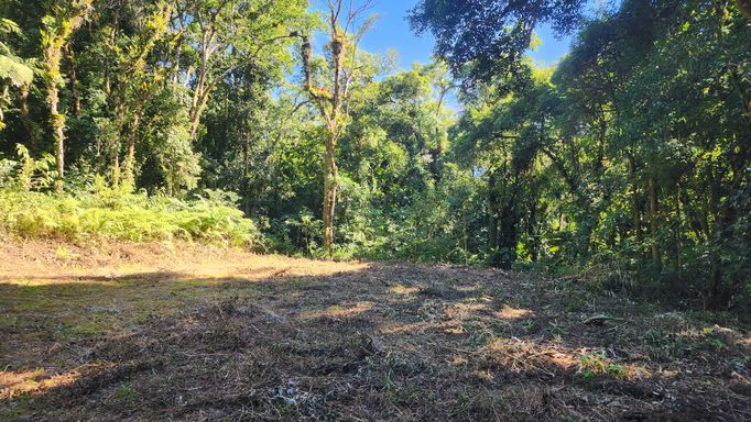 NATUREZA E CHAO DE CASA