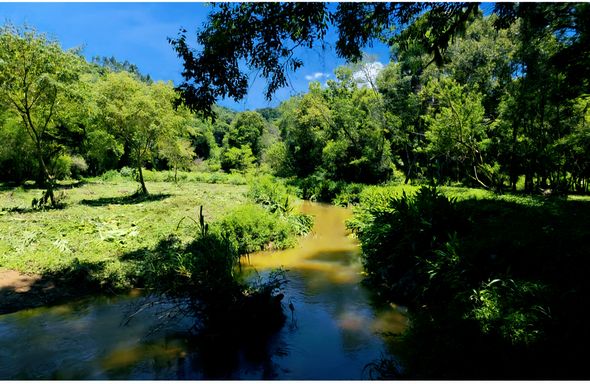 Rio serpenteando o bosque e gramado