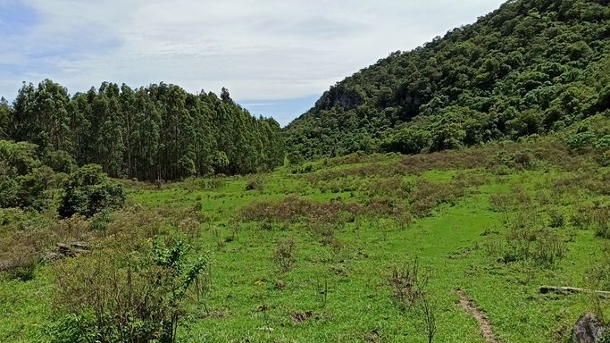 PASTO E NATUREZA