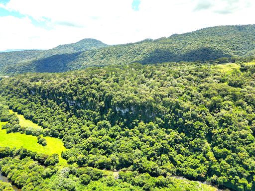 LINDO PAREDAO DE PEDDRAS