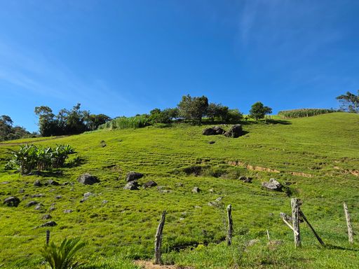Área plana com pastagem