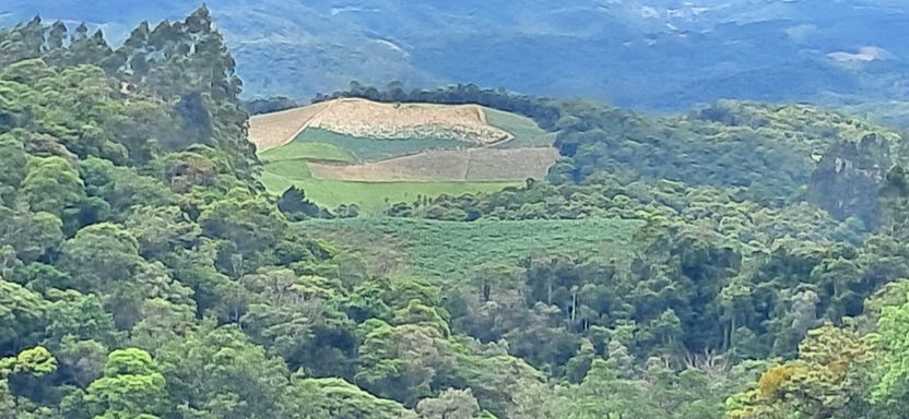 NATUREZA E TERRA DE PLANTIO