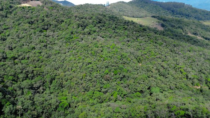 Vale e mata vistos do alto na chácara à venda em Águas Mornas SC