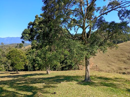 TERRENO PLANO E NATUREZA