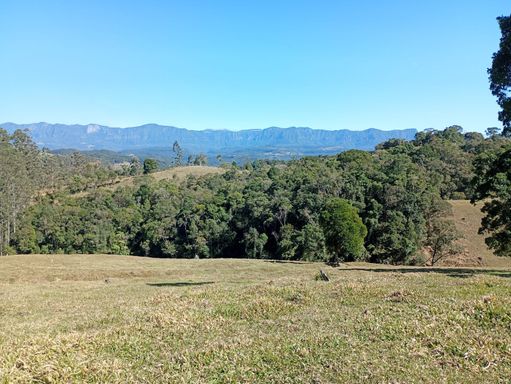 PASTAGEM E NATUREZA