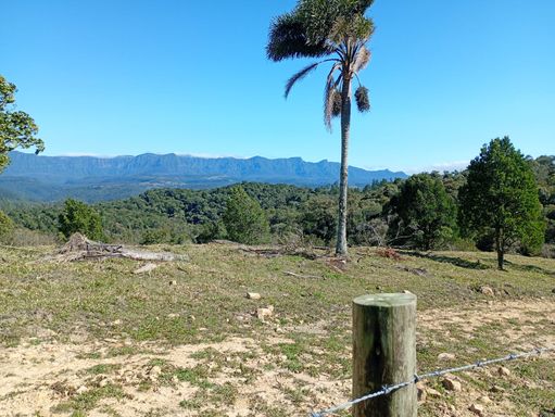COQUEIRO E VISTA PARA SERRA