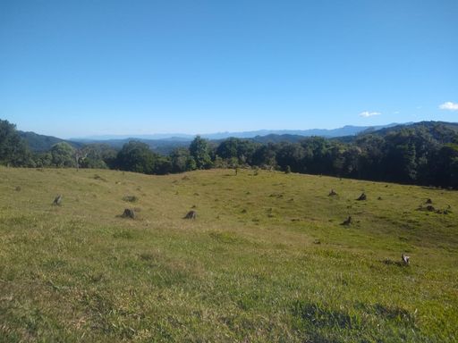 PASTO E LIINDA VISTA