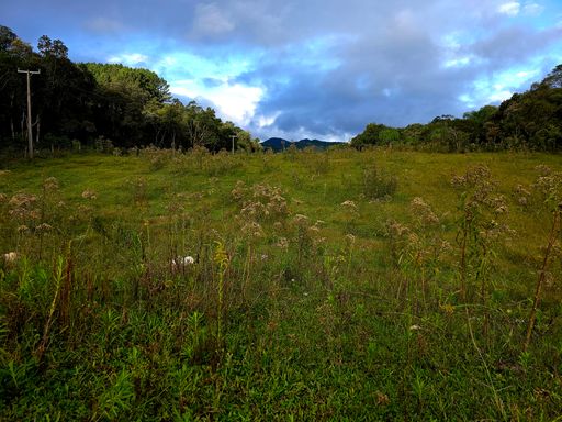 Area de pastagem plana