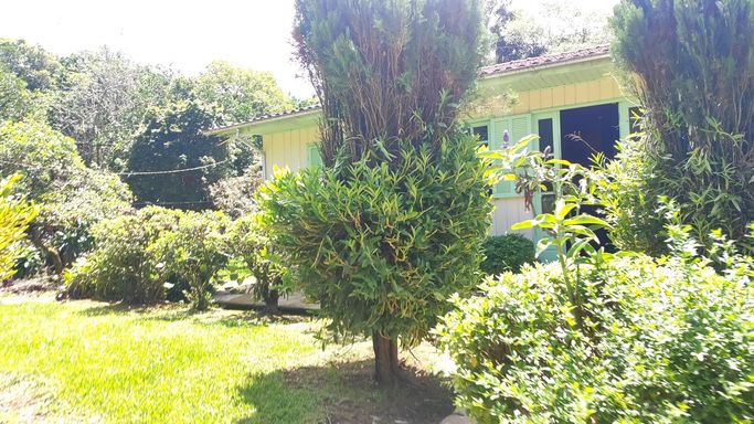 LINDO JARDIM DA CASA