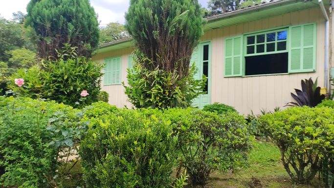 FLORES E CASA