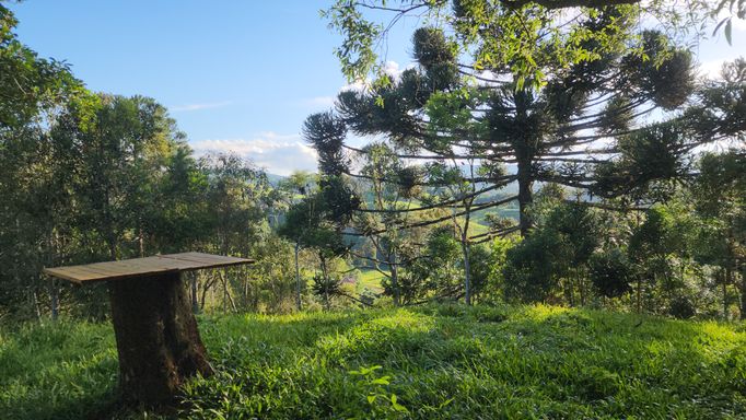 GRAMADO E ARAIUCARIAS