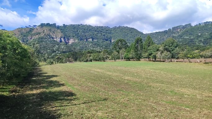 TERRA DE PLANTIO E LINDA VISTA  PARA OS PAREDÕES