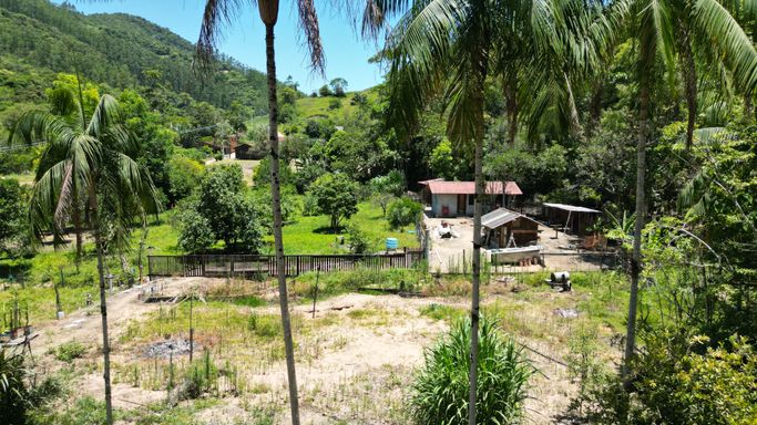 PALMITOS E GALINHEIROS