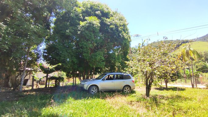 CARRO E JABUTICABEIRA ADULTA