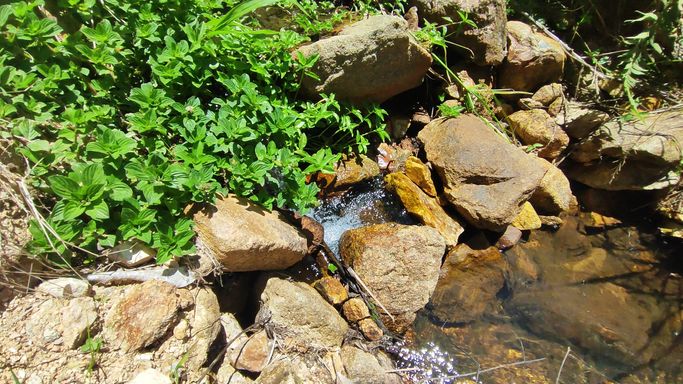 RIACHO DENTRO DOO  TERRENO