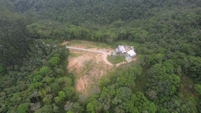 Área aberta no meio da mata, vista aérea