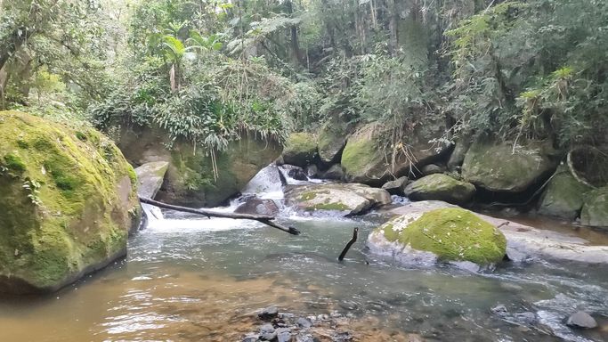 LOOINDO RIO