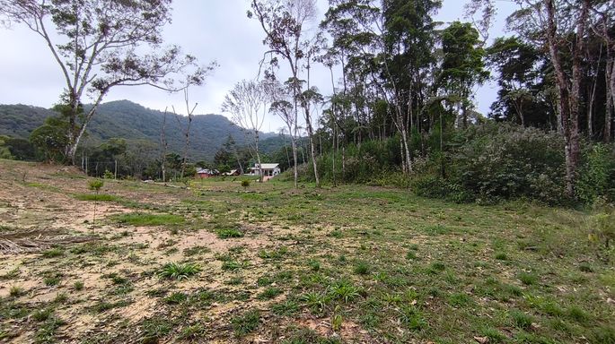 Área aberta com árvores