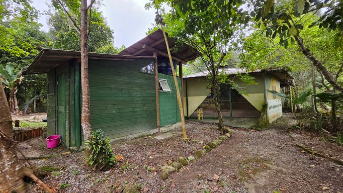 externa