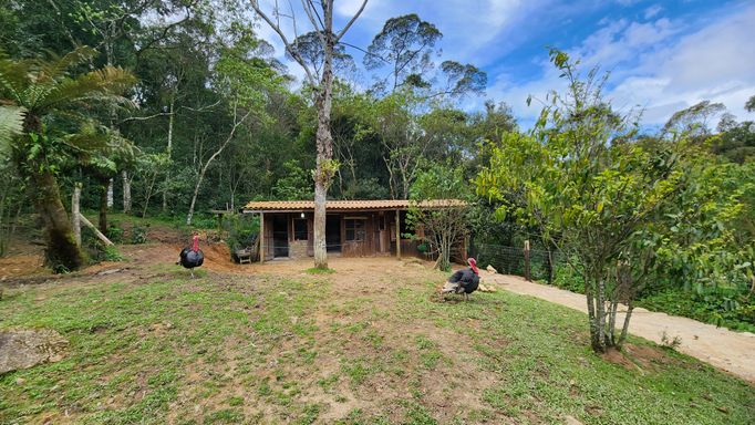 CASA DAS GALINHAS, PIRU E CAVALO...