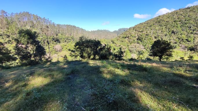 PASTAGEM E NATUREZA