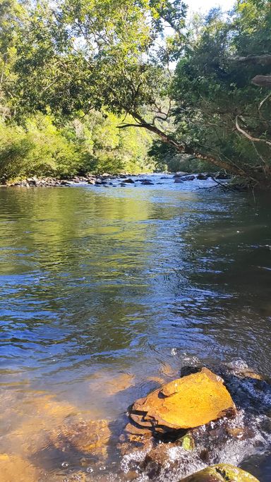 LINDO RIO E BELA FLORESTA