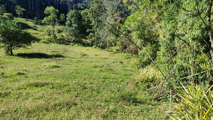 PASTAGEM E NATUREZA